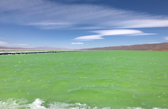 ng电子游戏·(中国区)官方网站