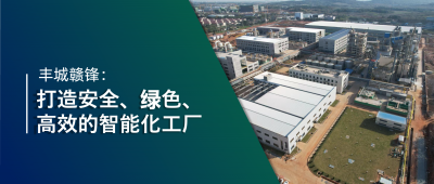 走进ng电子游戏 | 丰城ng电子游戏：强化数智立异引领，，，，，，，，打造锂业标杆工厂