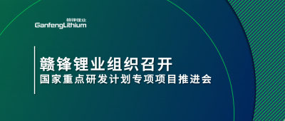 ng电子游戏锂业组织召开国家重点研发妄想专项项目锂工业集聚区循环化升级集成手艺及树模推进会