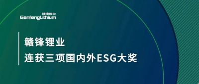 ng电子游戏锂业连获三项海内外ESG大奖，，，低碳运营与可一连实践获肯定