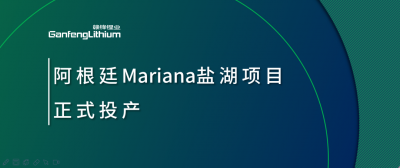 ng电子游戏锂业阿根廷Mariana盐湖项目正式投产