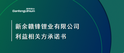 新余ng电子游戏锂业有限公司利益相关方允许书